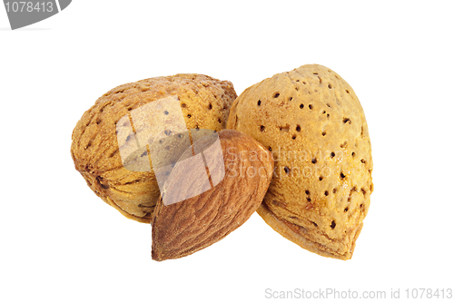 Image of Shelled and unshelled almonds