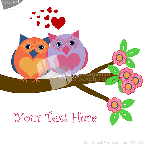 Image of Owls in Love Sitting on Tree Branch