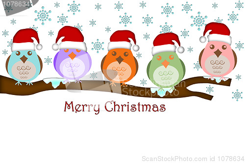 Image of Five Birds with Santa Hat on Tree Branches
