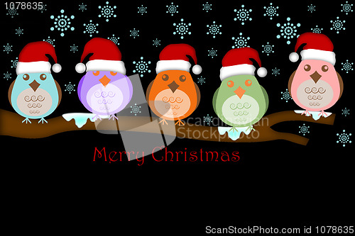 Image of Five Birds with Santa Hat on Tree Branches