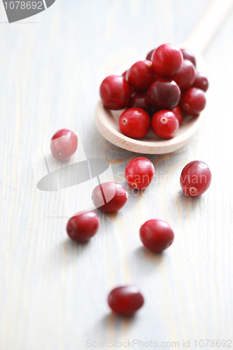 Image of cranberries