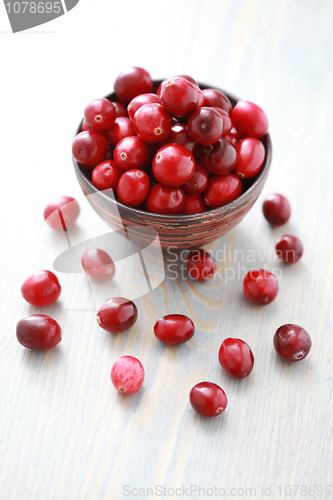 Image of cranberries