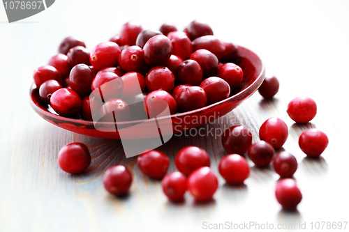 Image of cranberries