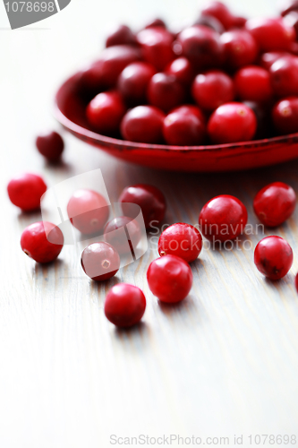 Image of cranberries