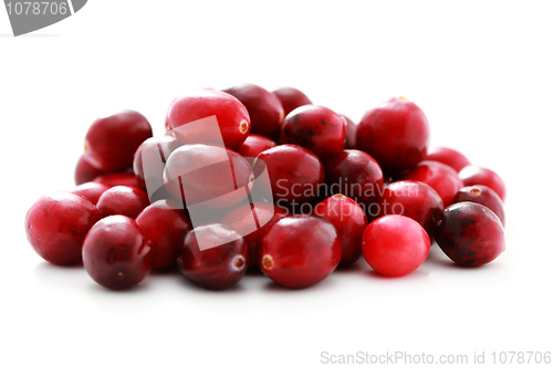 Image of cranberries