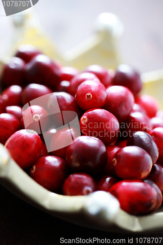 Image of cranberries