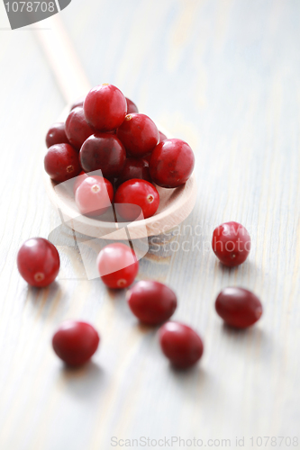 Image of cranberries
