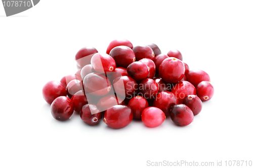 Image of cranberries