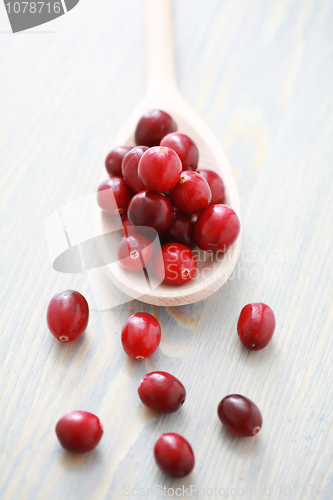Image of cranberries