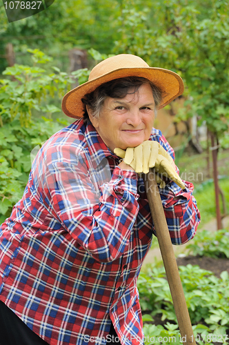 Image of Senior woman gardening