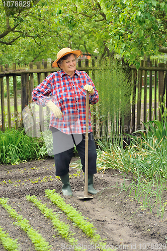 Image of Senior woman gardening