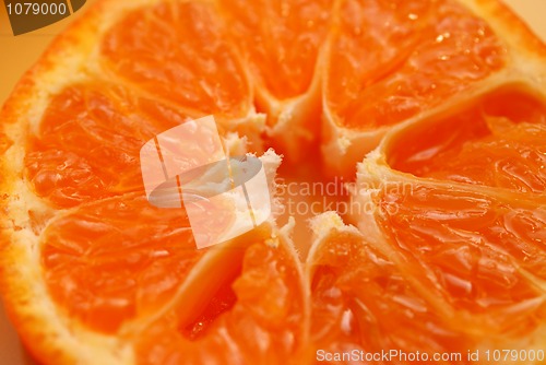 Image of Mandarin Fruit Slice 