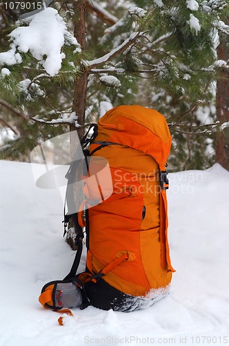Image of Backpack in snow forest