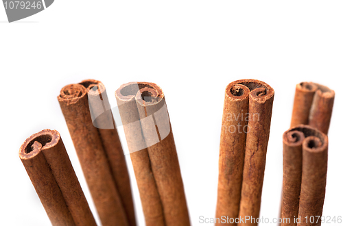 Image of Cinnamon sticks