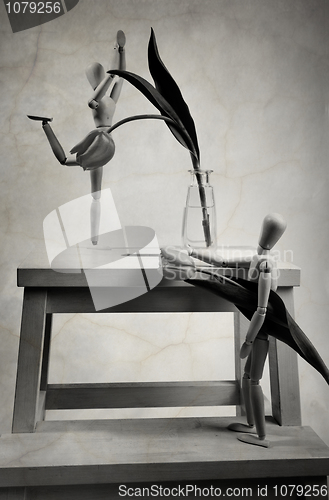Image of Spurned love