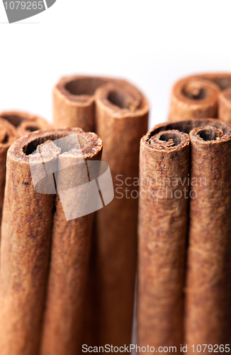 Image of Cinnamon sticks