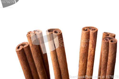 Image of Cinnamon sticks