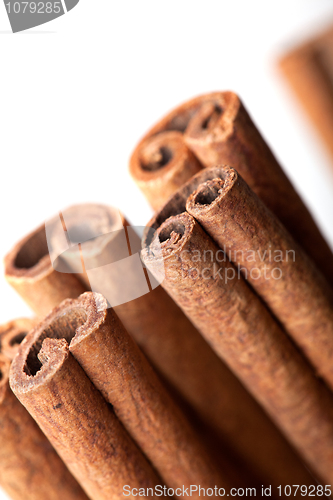 Image of Cinnamon sticks