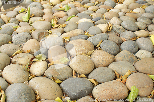Image of Pebbles