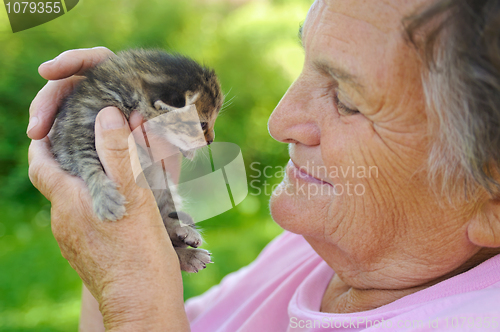 Image of Senior woman holding little kitten