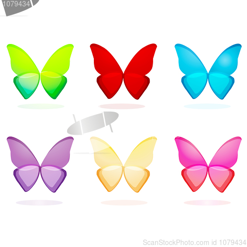 Image of set of butterflies