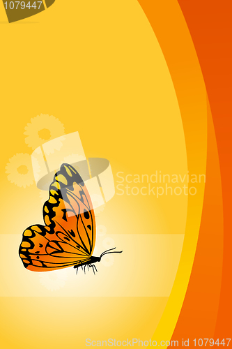 Image of vector floral background with butterfly