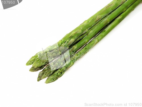 Image of Asparagus bunch