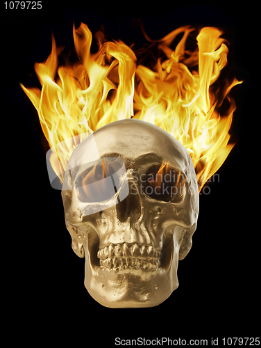 Image of Blazing Skull