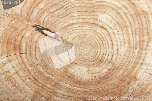 Image of Wood texture