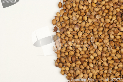 Image of Coriander seeds