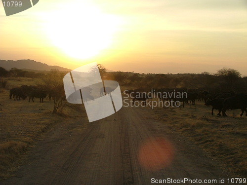 Image of Dusty road