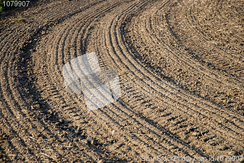 Image of field