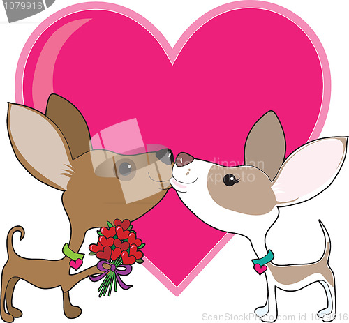 Image of Chihuahua Love