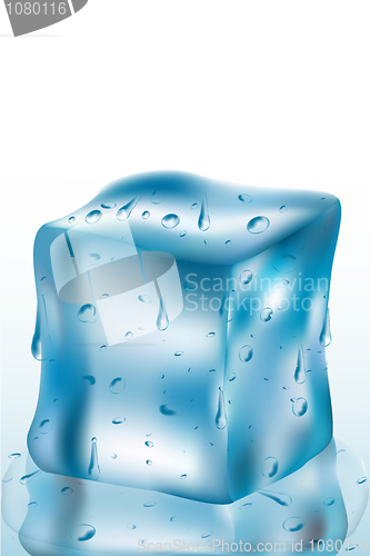 Image of ice cube 2