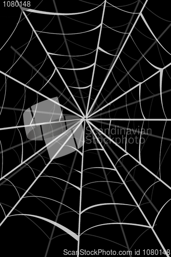 Image of spider web