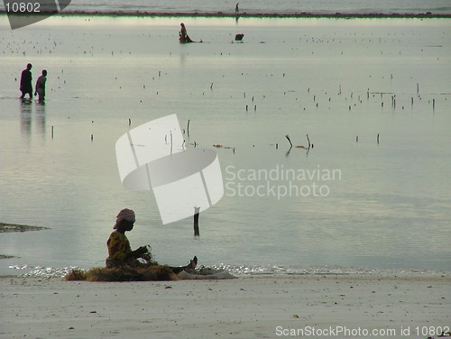 Image of Beach life