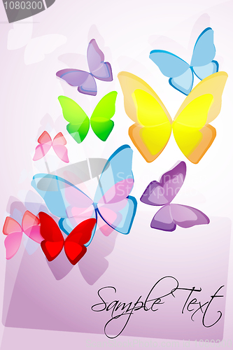 Image of colorful butterflies