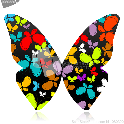 Image of colorful butterfly
