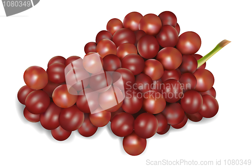 Image of grapes