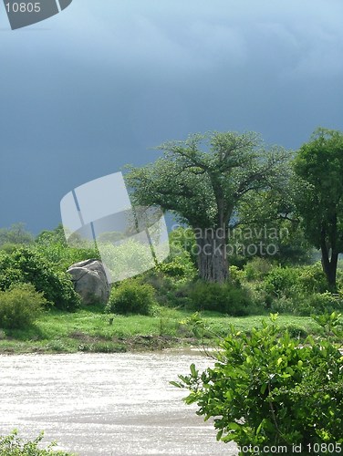 Image of Rain arrives