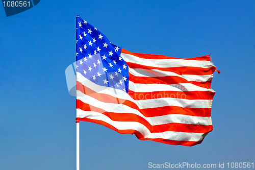 Image of USA flag