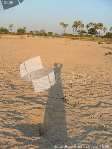 Image of Shadow