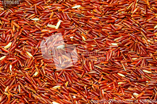Image of Red rice background