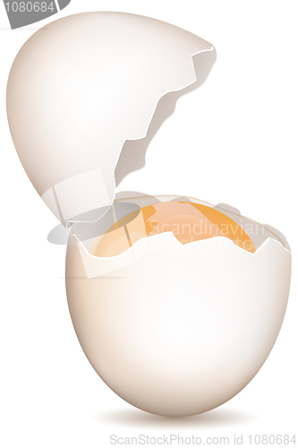 Image of broken egg