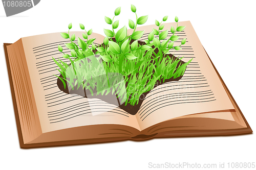 Image of grass on open book