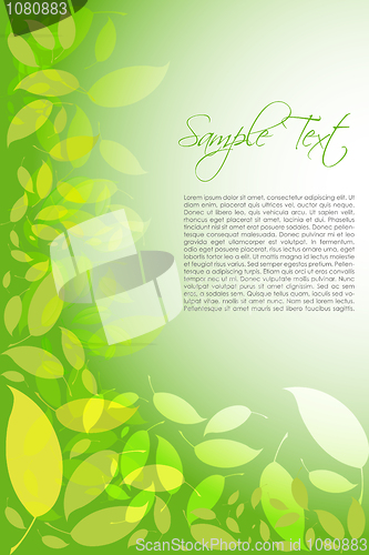Image of colorful vector background