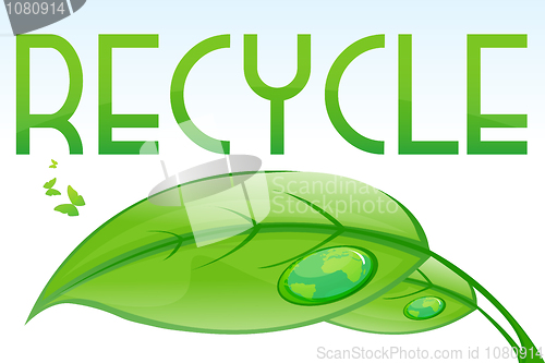 Image of recycle