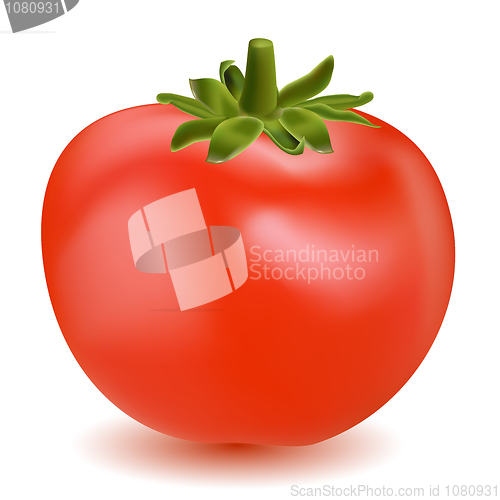 Image of tomato vegetable