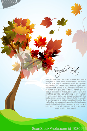 Image of autumn tree