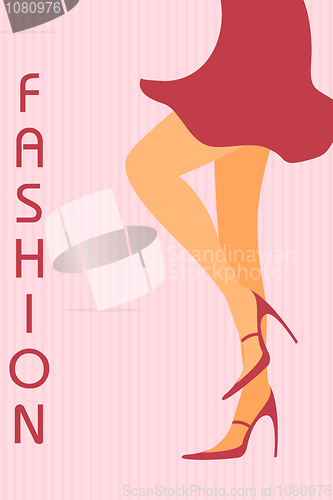 Image of legs of fashionable lady